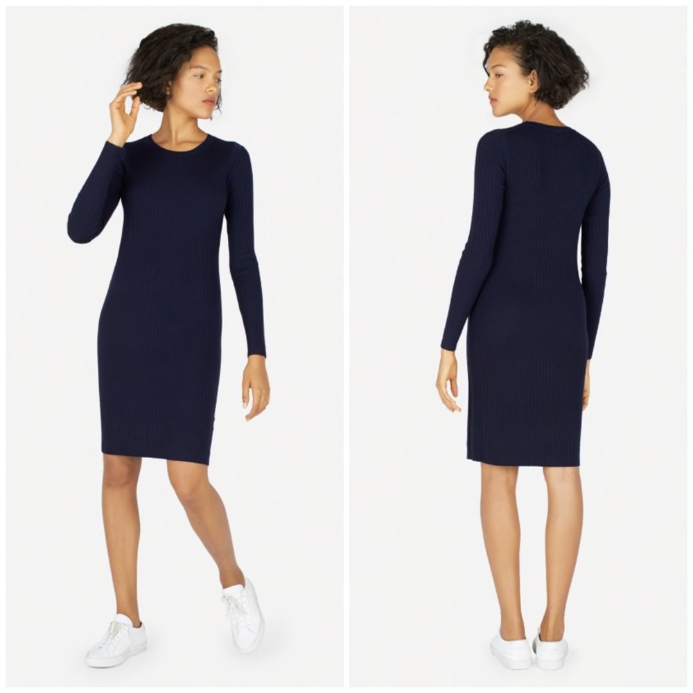 Everlane The Luxe Wool Ribbed Dress